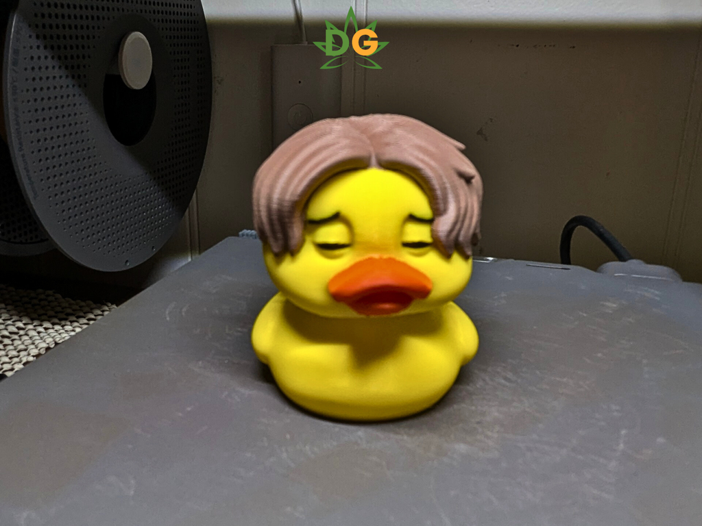 The Death of Quack of Mind Ducky