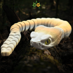 Articulated Rattlesnake 3D Printed Flexi with Realistic Glass Eyes