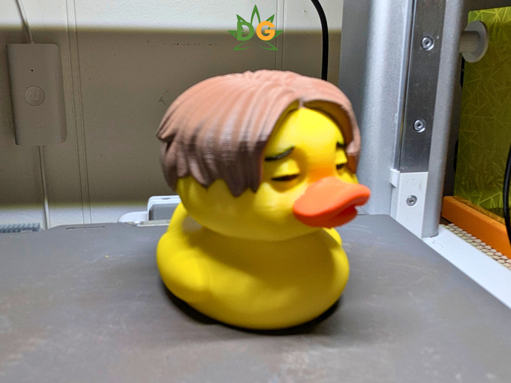 The Death of Quack of Mind Ducky