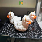 Albino Buffalo Duck | Limited Edition Dashboard Buddy