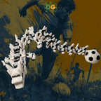 Articulated Soccer Dragon Flexi